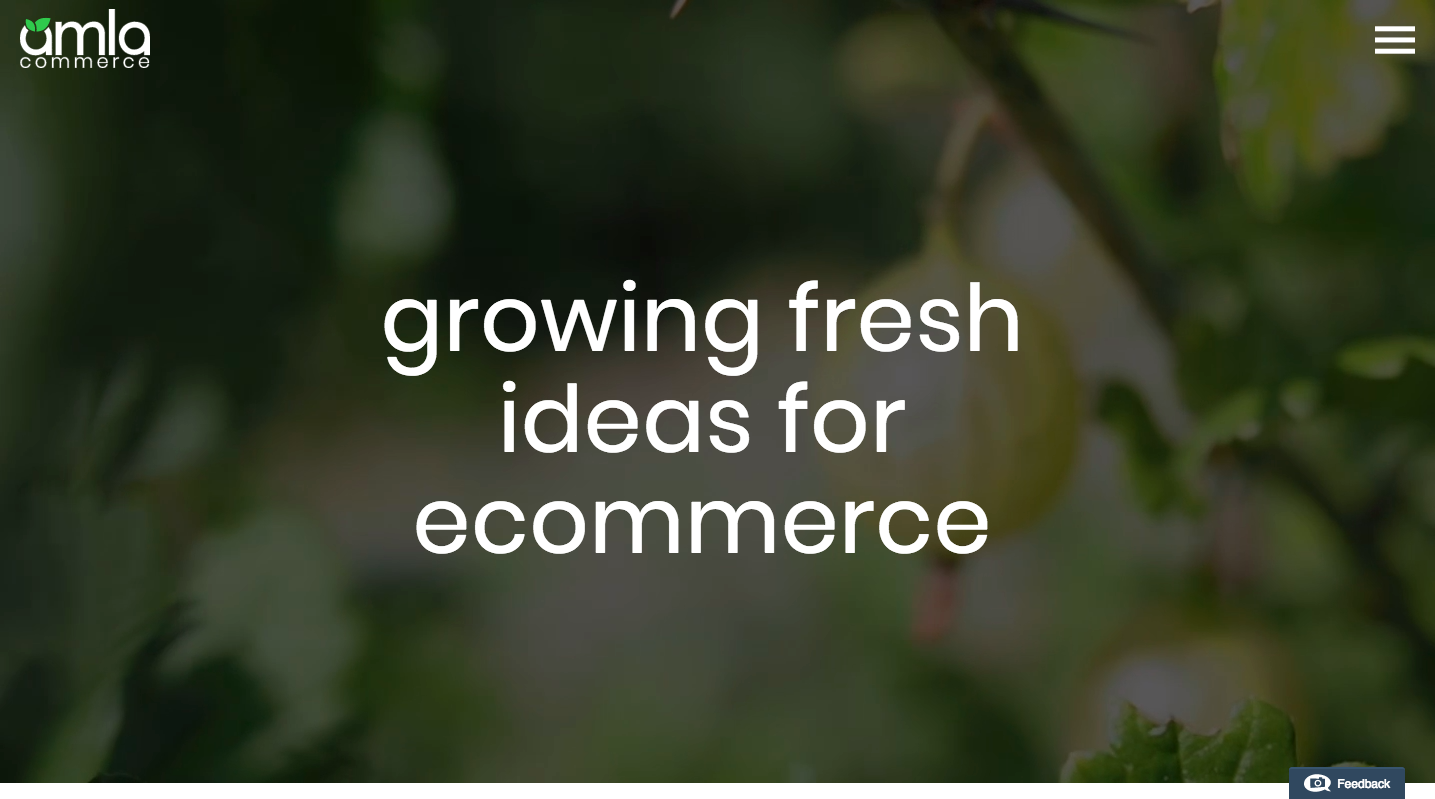 Amla Commerce Enabling Ecommerce Growth